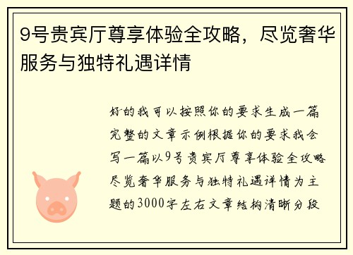 9号贵宾厅尊享体验全攻略，尽览奢华服务与独特礼遇详情